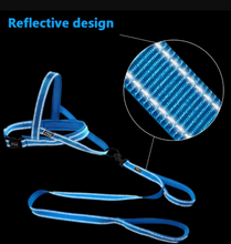 Reflective Dog Harness & Leash Sets!