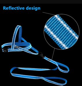 Reflective Dog Harness & Leash Sets!