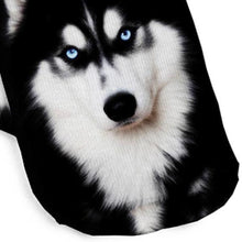 Hypnotic Husky Portrait Socks!