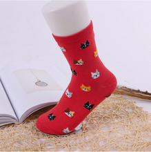 Cat Patterned Socks!   -- >> Available in Light Blue, Purple, Beige Red and Navy!