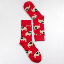 Gorgeous Dog Socks - Pug & Dalmatian!