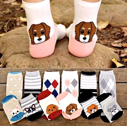 Cute Dog Cartoon Socks!