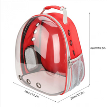 Small DogTransparent Space Backpack Capsule!  NOW 15% OFF!!
