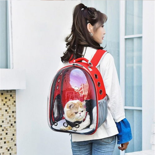 Cat's Transparent Space Capsule Carrier Backpack!  NOW 30% OFF!!