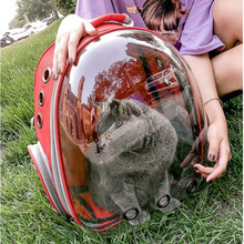 Cat's Transparent Space Capsule Carrier Backpack!  NOW 30% OFF!!
