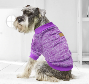 Warm Snuggly Cat/Dog Sweatshirts!