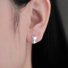 Sweet Silver Cat Earrings! NOW -->> 70% OFF!
