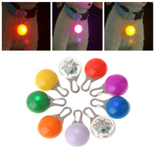 Dog Safety Flashing Night Lights!