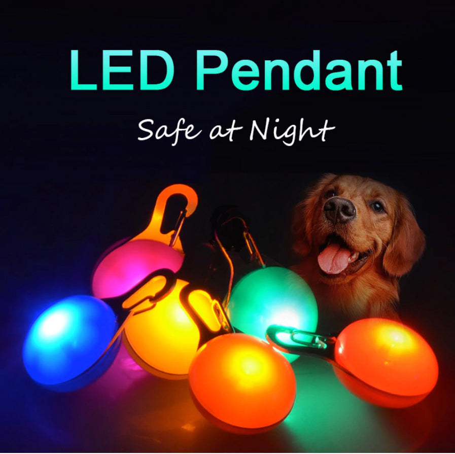 Dog Safety Flashing Night Lights!