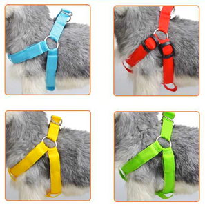 Neon Illuminating Bright Dog Safety Harness!  Rechargeable - 3 Modes!