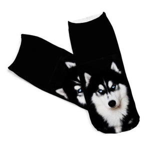 Hypnotic Husky Portrait Socks!