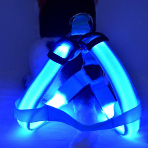 Neon Illuminating Bright Dog Safety Harness!  Rechargeable - 3 Modes!