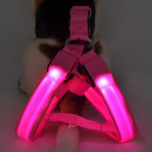 Neon Illuminating Bright Dog Safety Harness!  Rechargeable - 3 Modes!