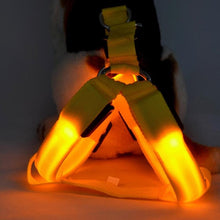 Neon Illuminating Bright Dog Safety Harness!  Rechargeable - 3 Modes!