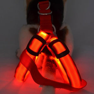 Neon Illuminating Bright Dog Safety Harness!  Rechargeable - 3 Modes!