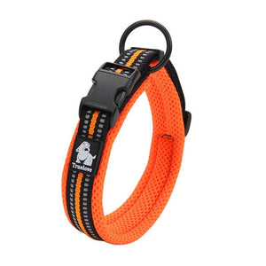 Soft Padded Reflective Dog Collars