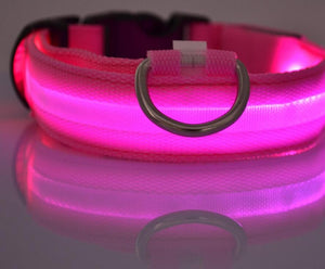 Safe Luminous Fluorescent Collars!  7 Bright Colors!