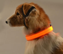 Safe Luminous Fluorescent Collars!  7 Bright Colors!