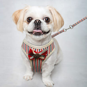 Adorable Soft & Breathable Pet Harnesses! S M L XL  5 Designs!