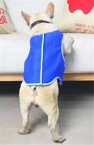 Pet's Summer Cooling Vest! NOW -->> 45% OFF!