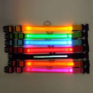 Safe Luminous Fluorescent Collars!  7 Bright Colors!