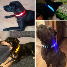 Safe Luminous Fluorescent Collars!  7 Bright Colors!