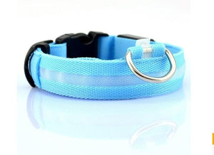 Safe Luminous Fluorescent Collars!  7 Bright Colors!