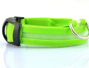 Safe Luminous Fluorescent Collars!  7 Bright Colors!