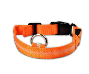 Safe Luminous Fluorescent Collars!  7 Bright Colors!