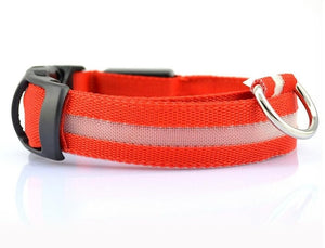 Safe Luminous Fluorescent Collars!  7 Bright Colors!