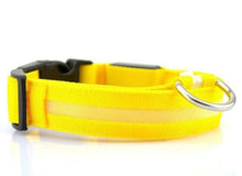 Safe Luminous Fluorescent Collars!  7 Bright Colors!