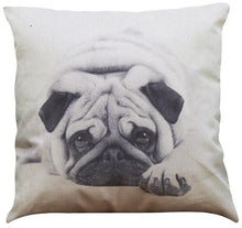 Awesome Pug Cushion Covers!  -->>15 Designs! NOW-->>20% OFF!