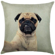 Awesome Pug Cushion Covers!  -->>15 Designs! NOW-->>20% OFF!