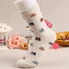 Cat Patterned Socks!   -- >> Available in Light Blue, Purple, Beige Red and Navy!