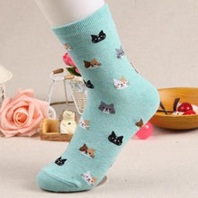 Cat Patterned Socks!   -- >> Available in Light Blue, Purple, Beige Red and Navy!