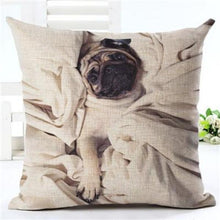 BEAUTIFUL Beige Pug Printed Pillow Cushion Covers!  8 Great Prints!