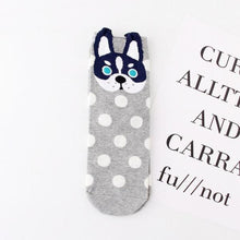 Dots and Stripes Animal Character Socks!