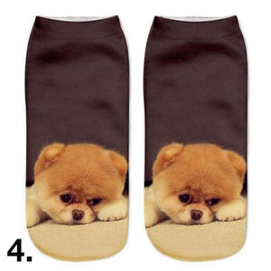 Beautiful Dog Portrait Socks! -->>Many Dog Varieties!