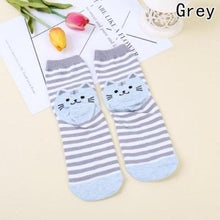 Striped Kitty Cat Socks!