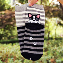 Cute Dog Cartoon Socks!