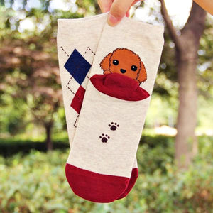 Cute Dog Cartoon Socks!