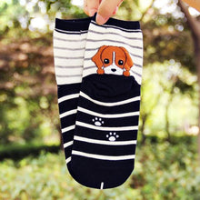 Cute Dog Cartoon Socks!