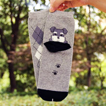 Cute Dog Cartoon Socks!