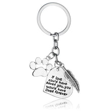 Special Memory Keepsake Pet Charm Key Ring! NOW -->> 70% OFF!