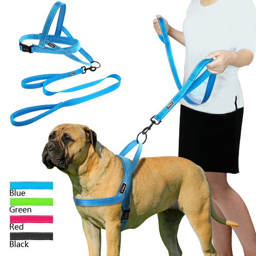 Reflective Dog Harness & Leash Sets!