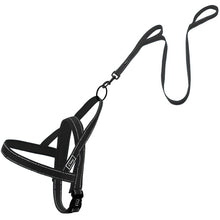 Reflective Dog Harness & Leash Sets!