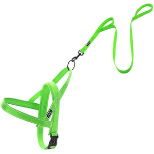 Reflective Dog Harness & Leash Sets!