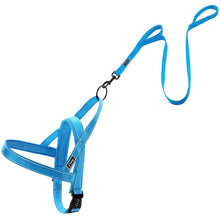 Reflective Dog Harness & Leash Sets!