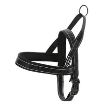 Reflective Dog Harness & Leash Sets!