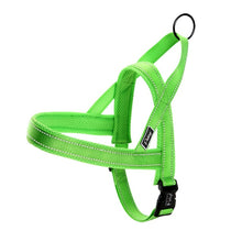 Reflective Dog Harness & Leash Sets!